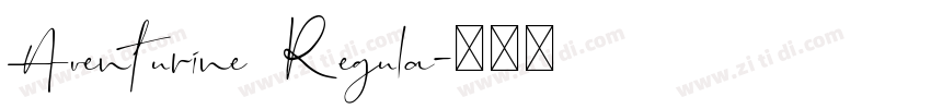 Aventurine Regula字体转换